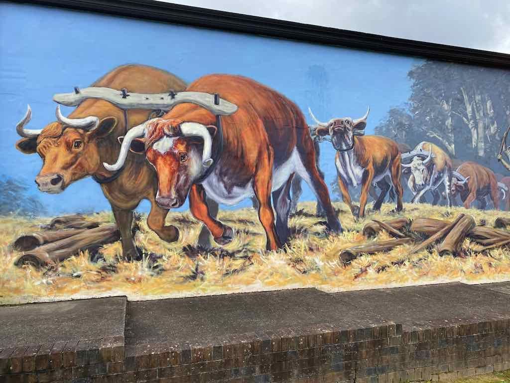 Kincumber Probus Group - Kurri Murals & Morpeth Image -632fa1747bb88